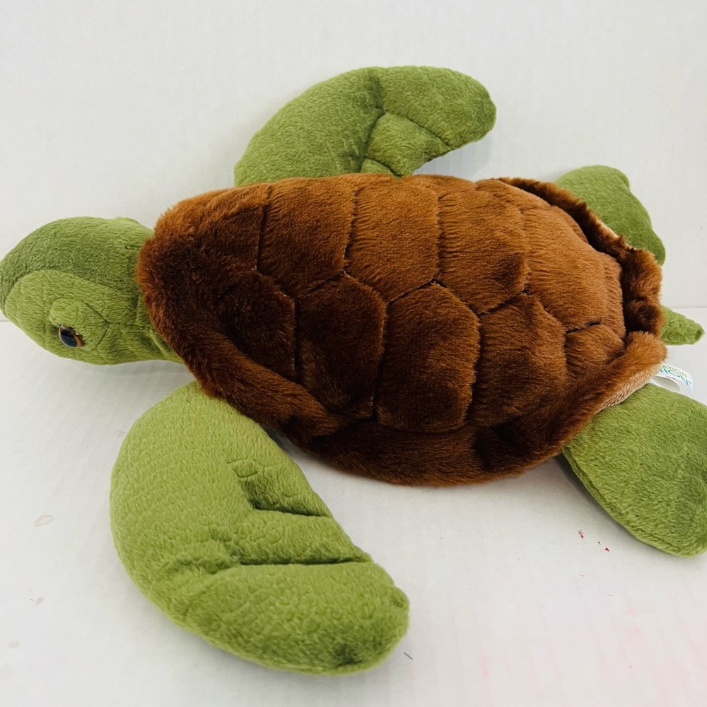 Destination Nation Turtle Plush - Picture 4 of 7